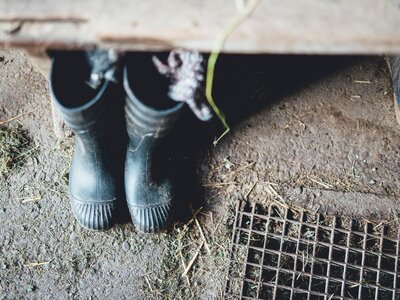 Stiefel | © Urlaub am Bauernhof Kärnten / Daniel Gollner