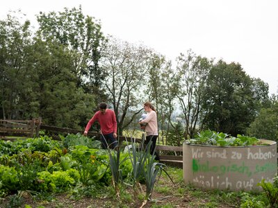 Das Paar holt sich seinen Mittagssnack gerne im eigenen Gemüsegarten | © Urlaub am Bauernhof Kärnten / Daniel Gollner Paar geht durch den Gemüsegarten | © Urlaub am Bauernhof Kärnten / Daniel Gollner