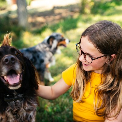 Mädchen streichelt den Hund | © Urlaub am Bauernhof Kärnten / Daniel Gollner