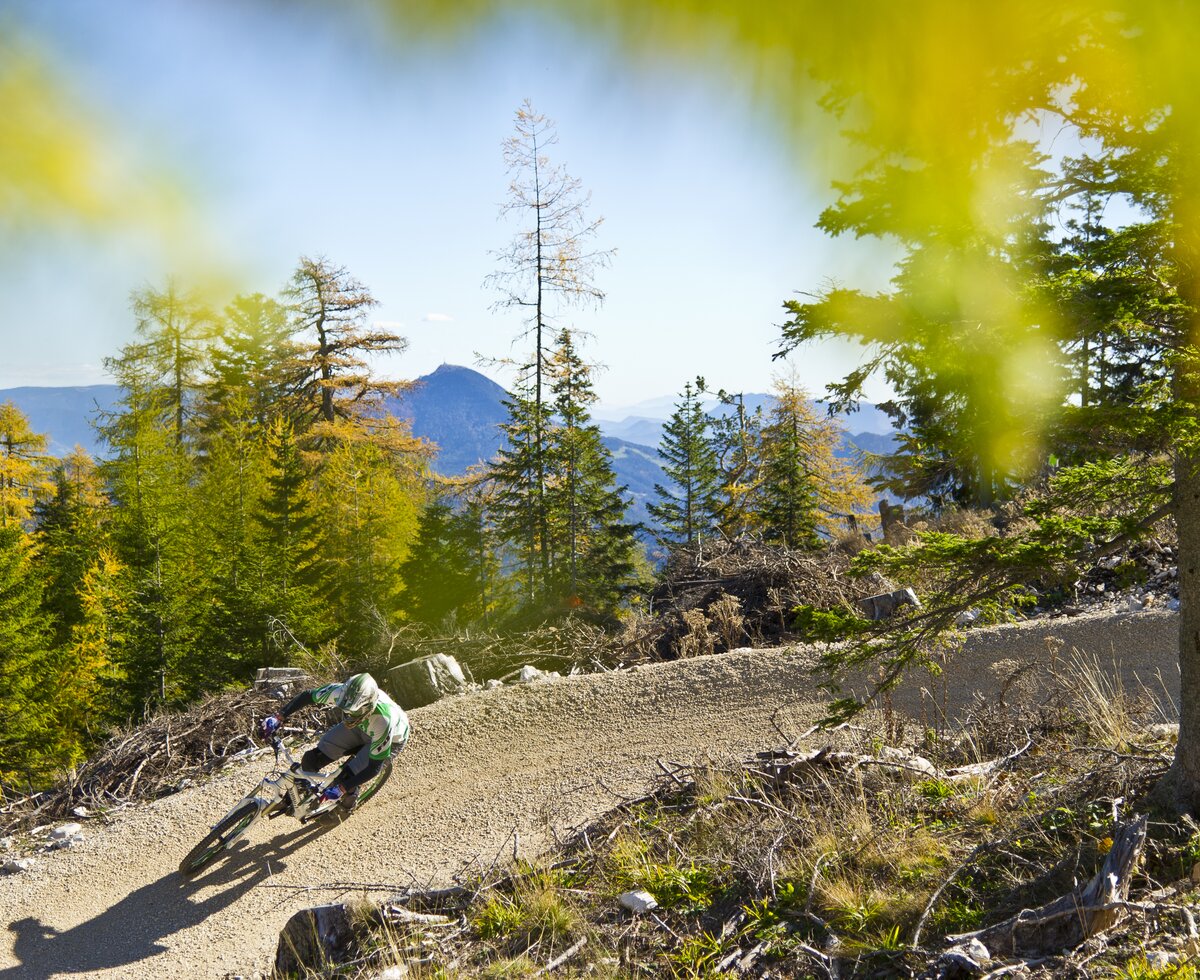 Flow Country - Petzen | © Franz Gerdl / Kärnten Werbung GmbH Mountainbiker am Flow Country - Petzen | © Franz Gerdl / Kärnten Werbung GmbH