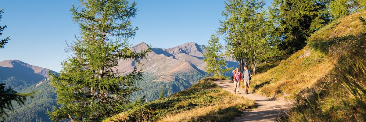Familie wandert auf der Alm im Lieser-Maltatal mit Blick auf die Berge | © Rubert Mühlbacher / Tourismusregion Katschberg Lieser-Maltatal