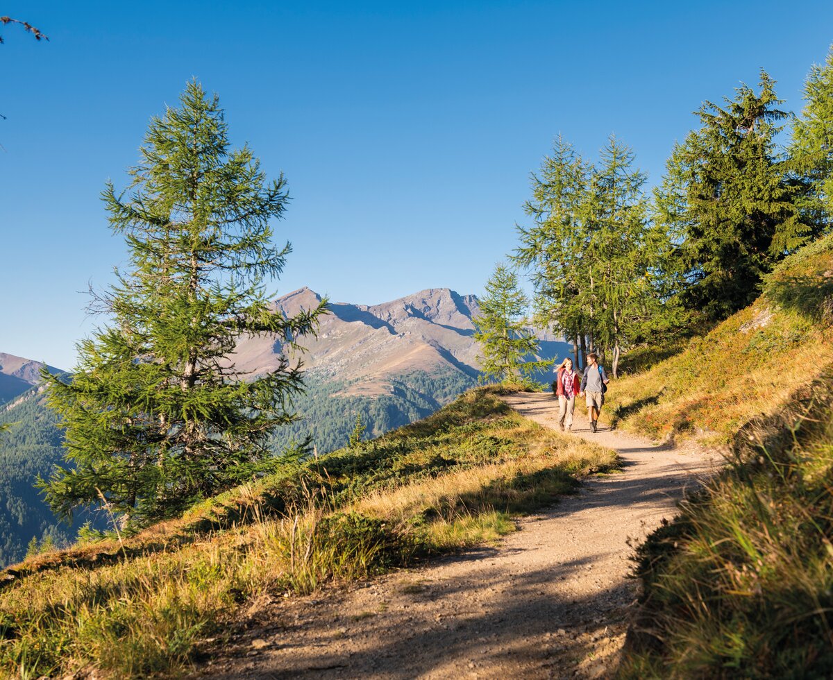 Familie wandert auf der Alm im Lieser-Maltatal mit Blick auf die Berge | © Rubert Mühlbacher / Tourismusregion Katschberg Lieser-Maltatal