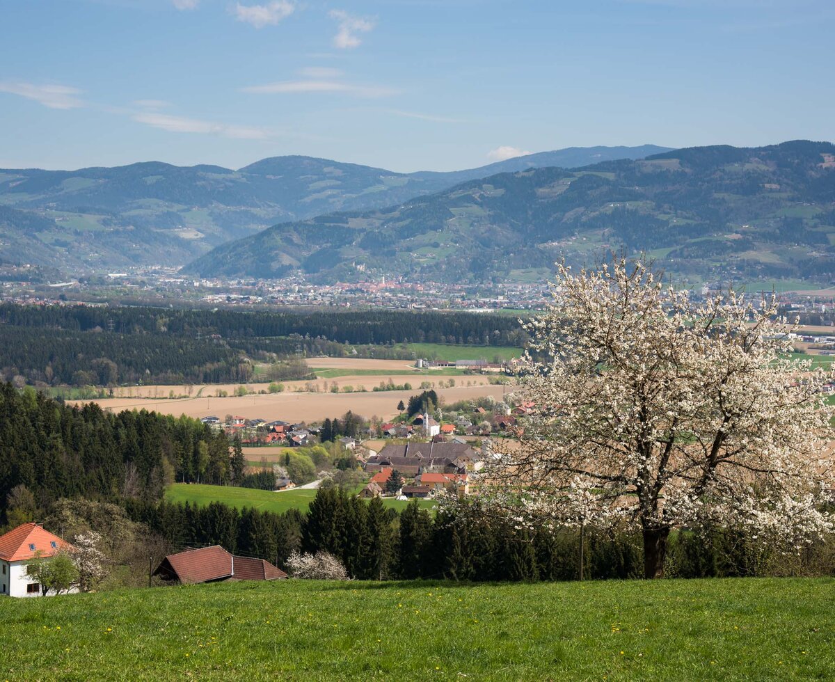 Blick ins Lavanttal im Frühling bei blühenden Obstbäumen  | © Franz Gerdl / RML GmbH 