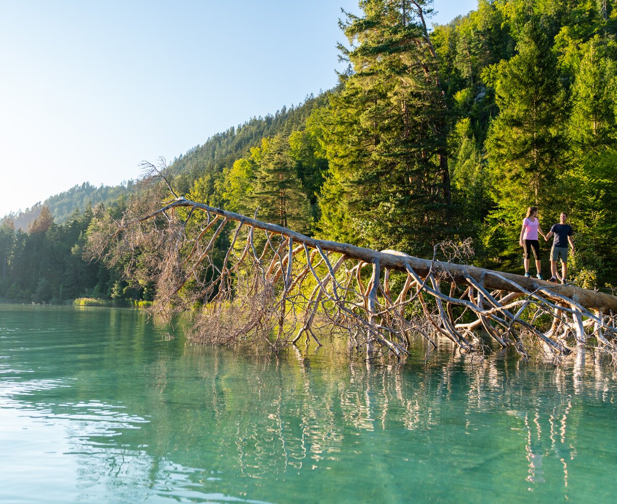 Slowtrail am Weisensee | © Gert Perauer/ NLW Tourismus Marketing GmbH Wanderung am Slowtrail am Weissensee in Kärnten | © Gert Perauer/ NLW Tourismus Marketing GmbH