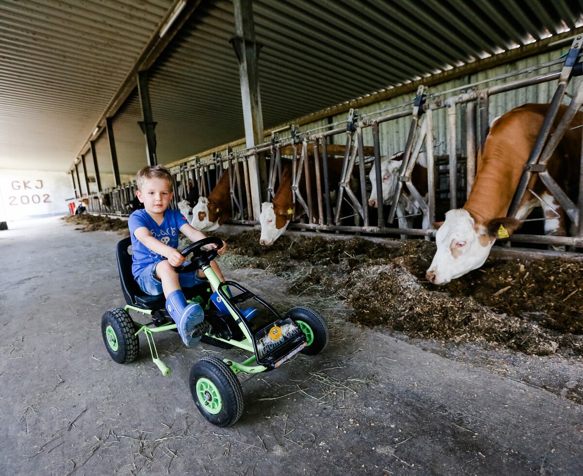 Boy with pedal tractor | © Niederösterreich Werbung / schwarz-koenig.at Boy drives with pedal tractor in the stable | © Niederösterreich Werbung / schwarz-koenig.at