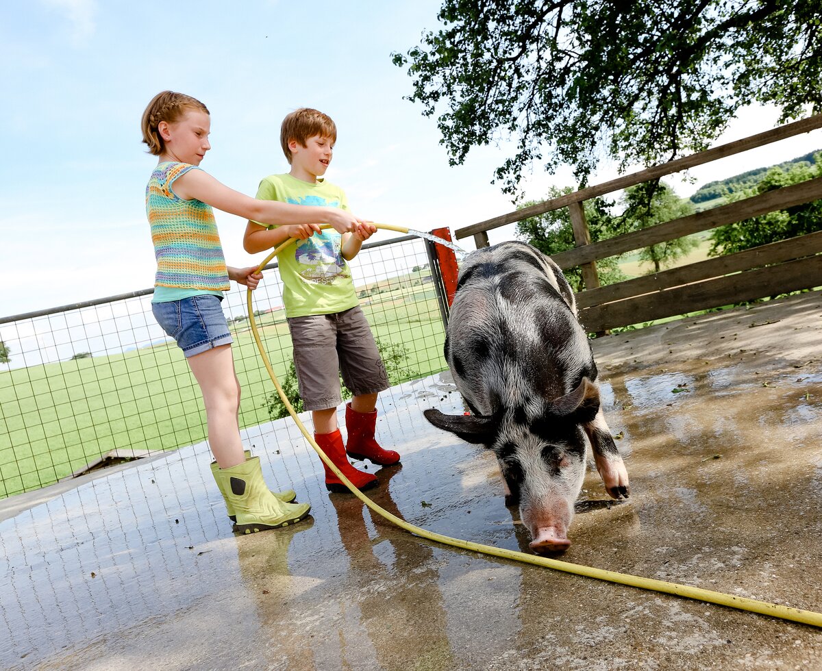 Two children wash a pig with a garden hose  | © Niederösterreich Werbung / schwarz-koenig.at