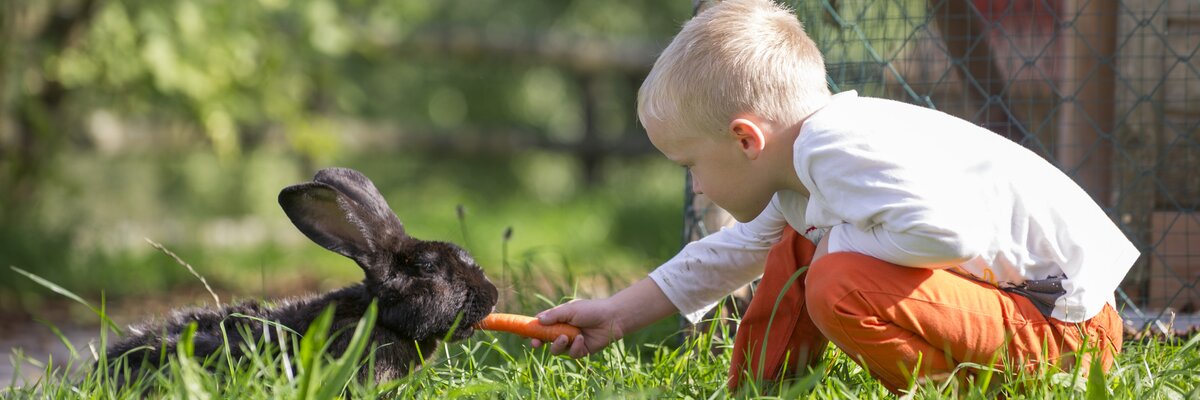 Bub füttert Hase im Gras | © Urlaub am Bauernhof Niederösterreich / Karin Lohberger