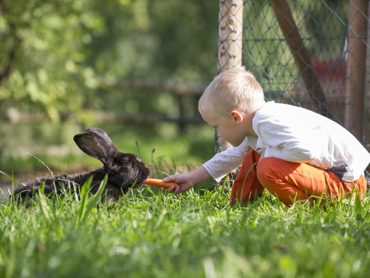 Boy feeds rabbit in the gras | © Urlaub am Bauernhof Niederösterreich / Karin Lohberger