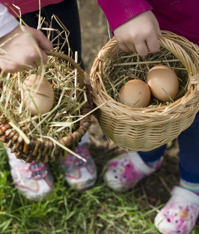 Kinder zeigen frisch geholte Eier im Körbchen | © Urlaub am Bauernhof Niederösterreich / Karin Lohberger