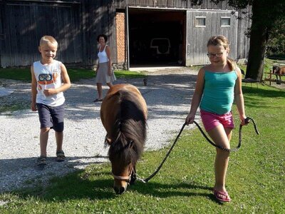 Martin und Julia führen das Pony aus | © Elisabeth Glatzenberger Martin und Julia führen das Pony aus | © Elisabeth Glatzenberger