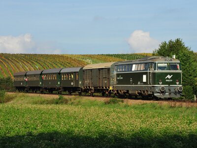 Reblausexpress | © Weinviertel Tourismus / Knipserl Reblausexpress | © Weinviertel Tourismus / Knipserl