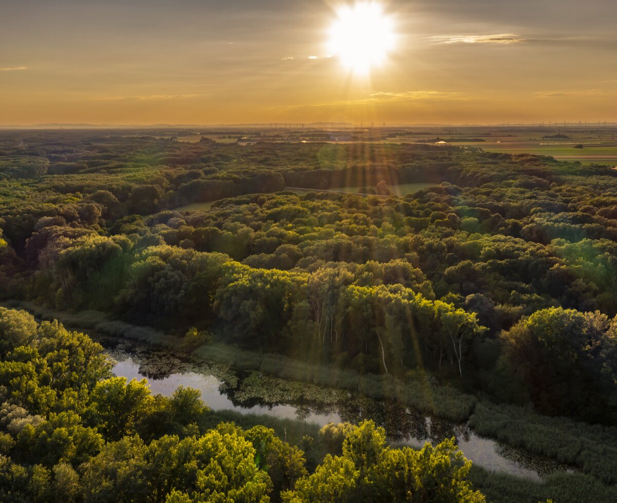 National Park Danube Floodplains | © Donau Niederösterreich / Robert Herbst National Park Danube Floodplains | © Donau Niederösterreich / Robert Herbst