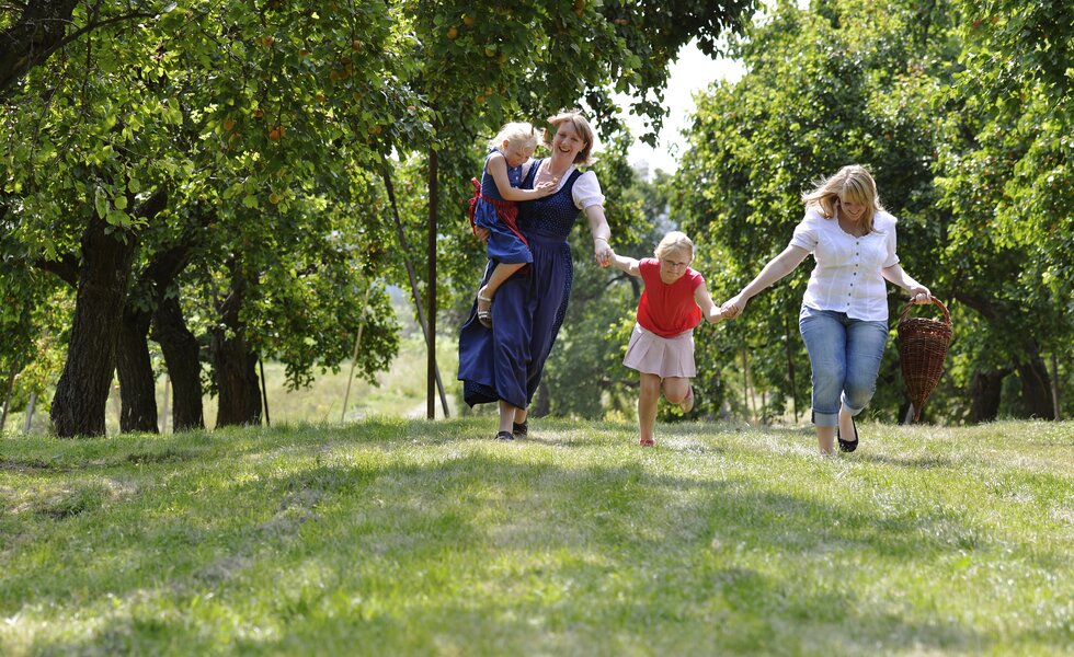 Familie spaziert durch den Marillengarten | © Donau Niederösterreich / Steve Haider