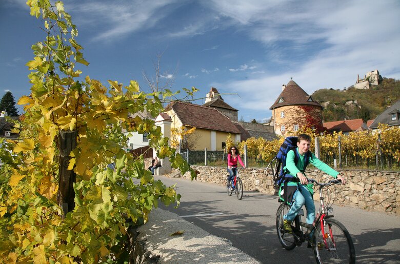 Kinder fahren am Donauradweg bei Dürnstein | © Donau Niederösterreich / Uwe Kraus