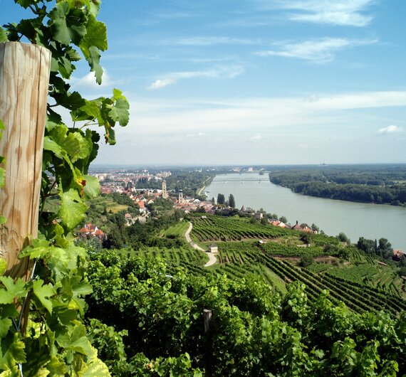 Landschaftsfoto Krems an de Donau | © Winzer Krems / K.M. Westermann