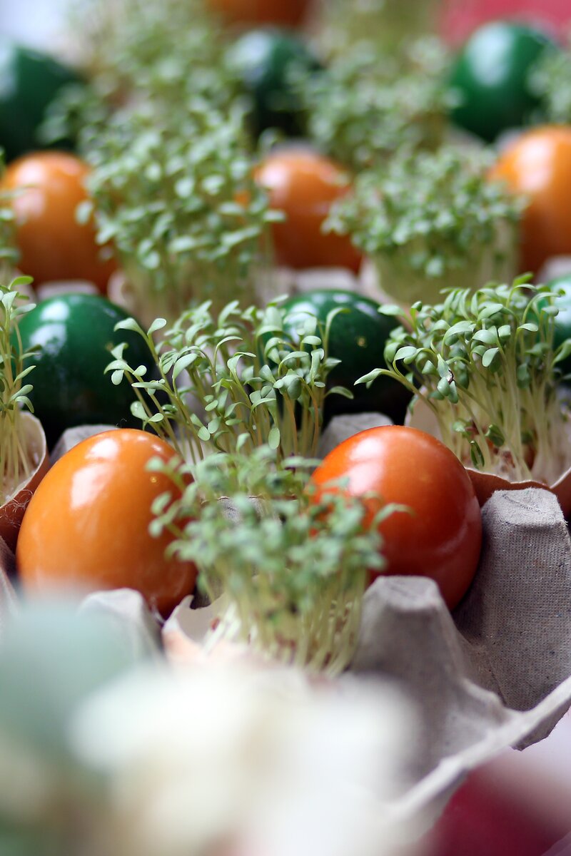 gefärbte Ostereier  | © Mostviertel Tourismus / weinfranz.at