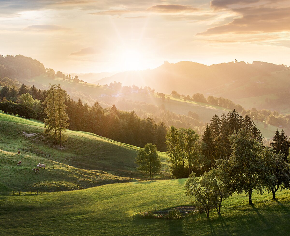 Panoramic high road in the Mostviertel region | © Mostviertel Tourismus / schwarz-koenig.at hilly landscape in the Mostviertel | © Mostviertel Tourismus / schwarz-koenig.at