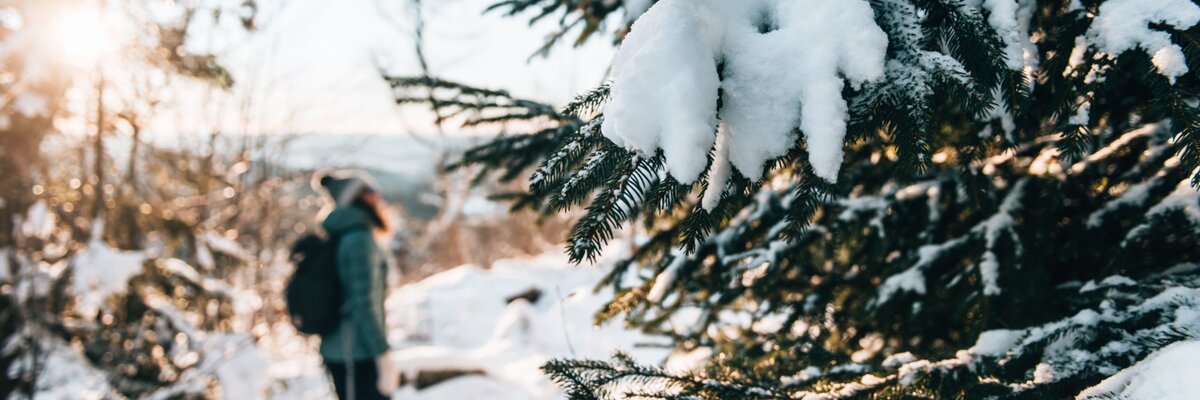 Winterwanderung im Waldviertel | © Waldviertel Tourismus | sommertage.com