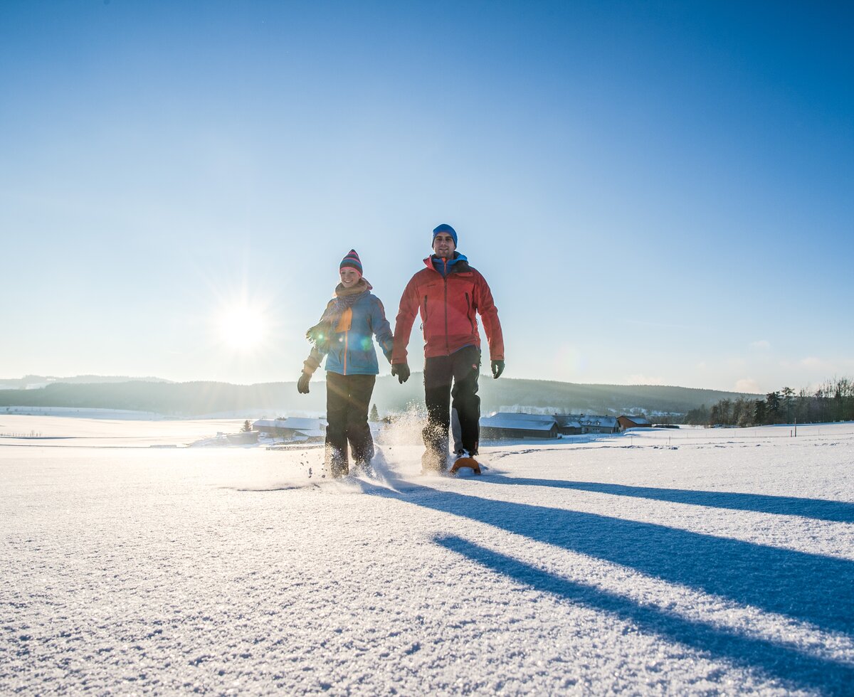 Snowshoe hiking in the Waldviertel region | © Waldviertel Tourismus / Robert Herbst A couple snowshoeing in the sunshine in the Waldviertel region | © Waldviertel Tourismus / Robert Herbst