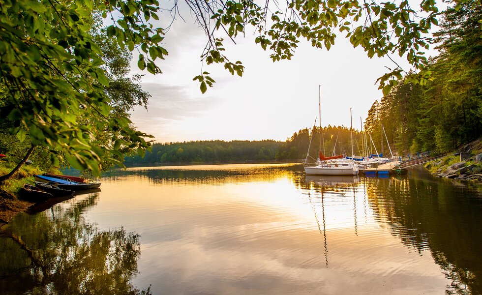Abendstimmung bei der Anlegestelle der Boote beim Stausee Ottenstein im Waldviertel | © Waldviertel Tourismus / Studio Kerschbaum