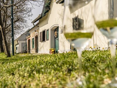 Kellergasse Weinfrühling Etsdorf am Kamp | © Niederösterreich Werbung / Robert Herbst Kellergasse im Frühling | © Niederösterreich Werbung / Robert Herbst