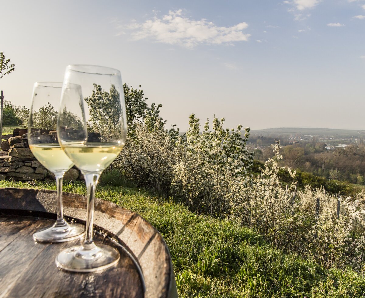 Weinfrühling Langenlois | © Niederösterreich Werbung / Robert Herbst Zwei Weingläser auf Weinfass im Weingarten in Langenlois | © Niederösterreich Werbung / Robert Herbst