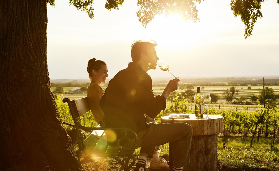 Paar trinkt Wein - in die Grean gehen | © Weinviertel Tourismus - Michael Liebert