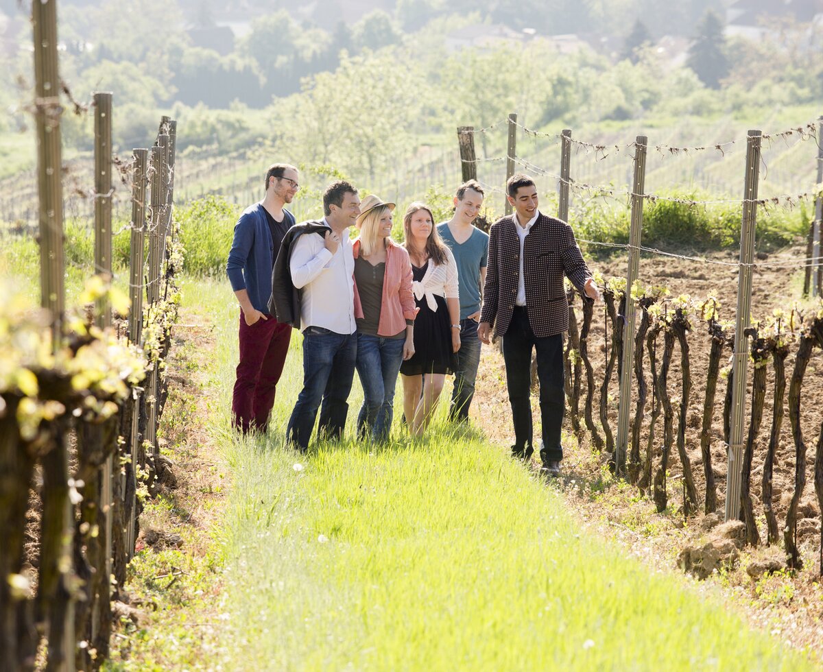 People standing in the vineyard | © Weinviertel Tourismus / Astrid Bartl People standing in the vineyard | © Weinviertel Tourismus / Astrid Bartl
