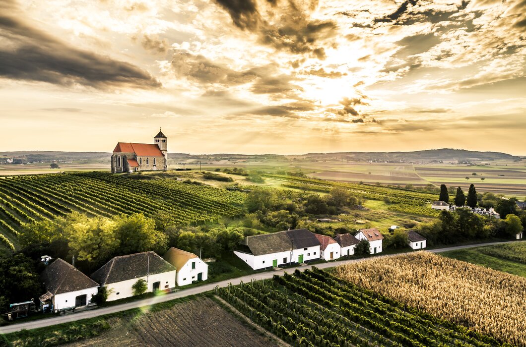 Kellergasse Wartberg im Weinviertel | © Weinviertel Tourismus / Herbst