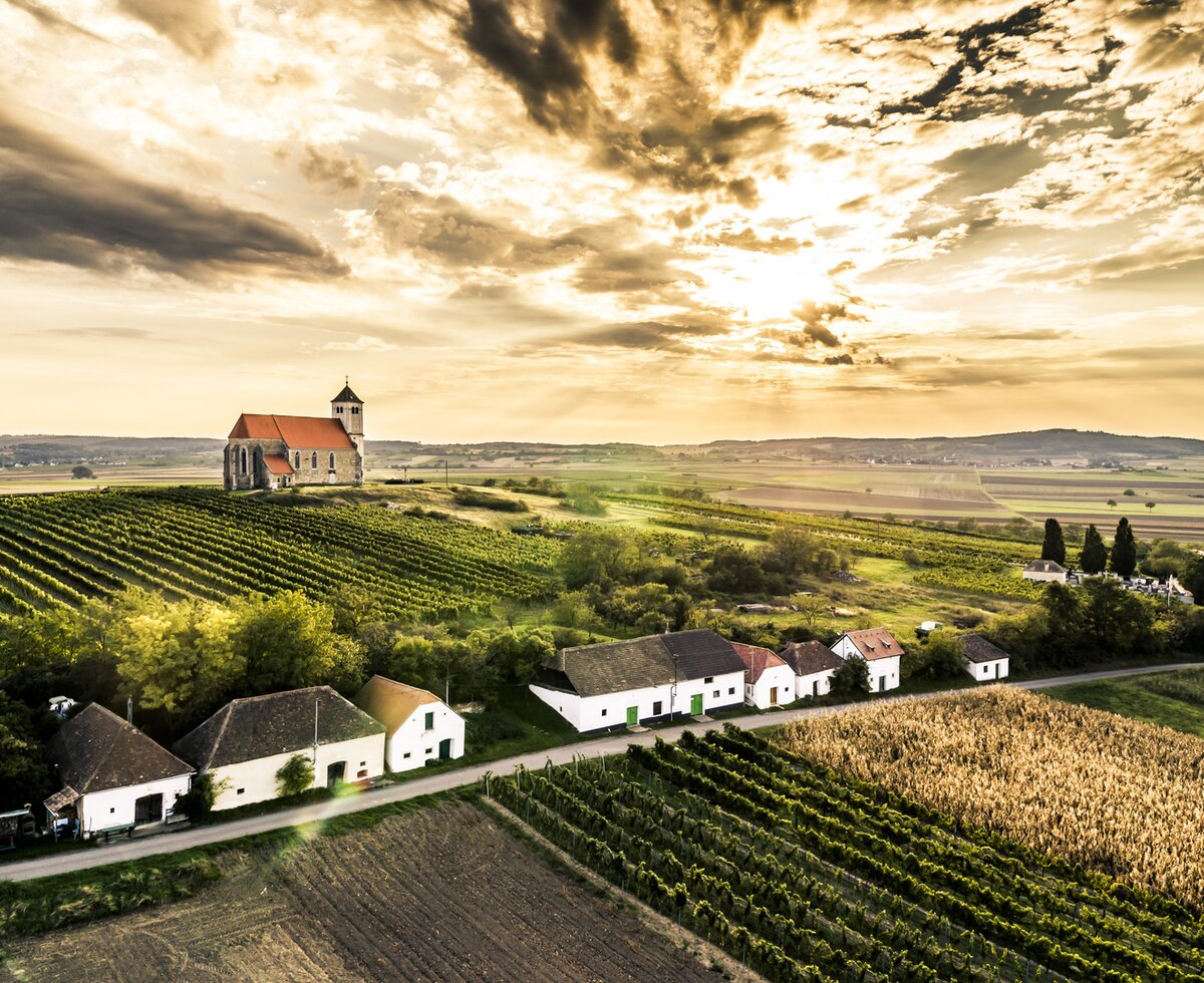 Wartberg cellar alley in the Weinviertel region | © Weinviertel Tourismus / Herbst Wartberg cellar alley in the Weinviertel region | © Weinviertel Tourismus / Herbst