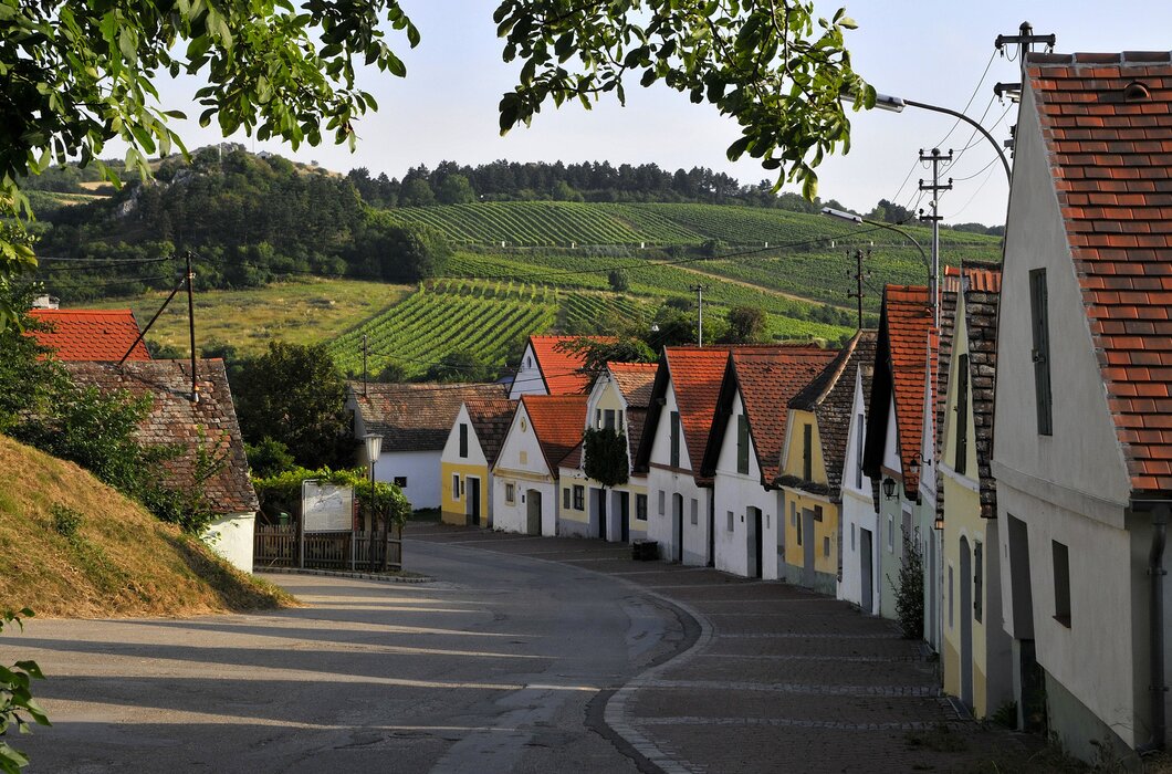 Kellergasse Falkenstein im Sommer | © Weinviertel Tourismus / Mandl