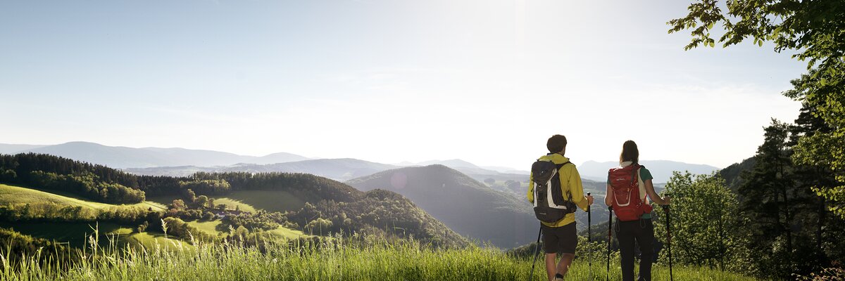 Couple hiking in the Buckligenwelt | © Wiener Alpen / Florian Lierzer