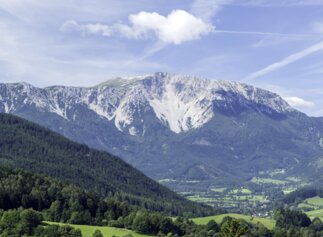 Cow on a pasture | © Wiener Alpen / Franz Zwickl Cow on a pasture in front of the Schneeberg in the Viennese Alps | © Wiener Alpen / Franz Zwickl