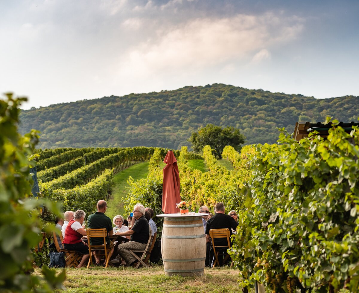 Genussmeile Wienerwald | © Wienerwald Tourismus / Christian Dusek Leute jausnen im Weingarten im Wienerwald | © Wienerwald Tourismus / Christian Dusek