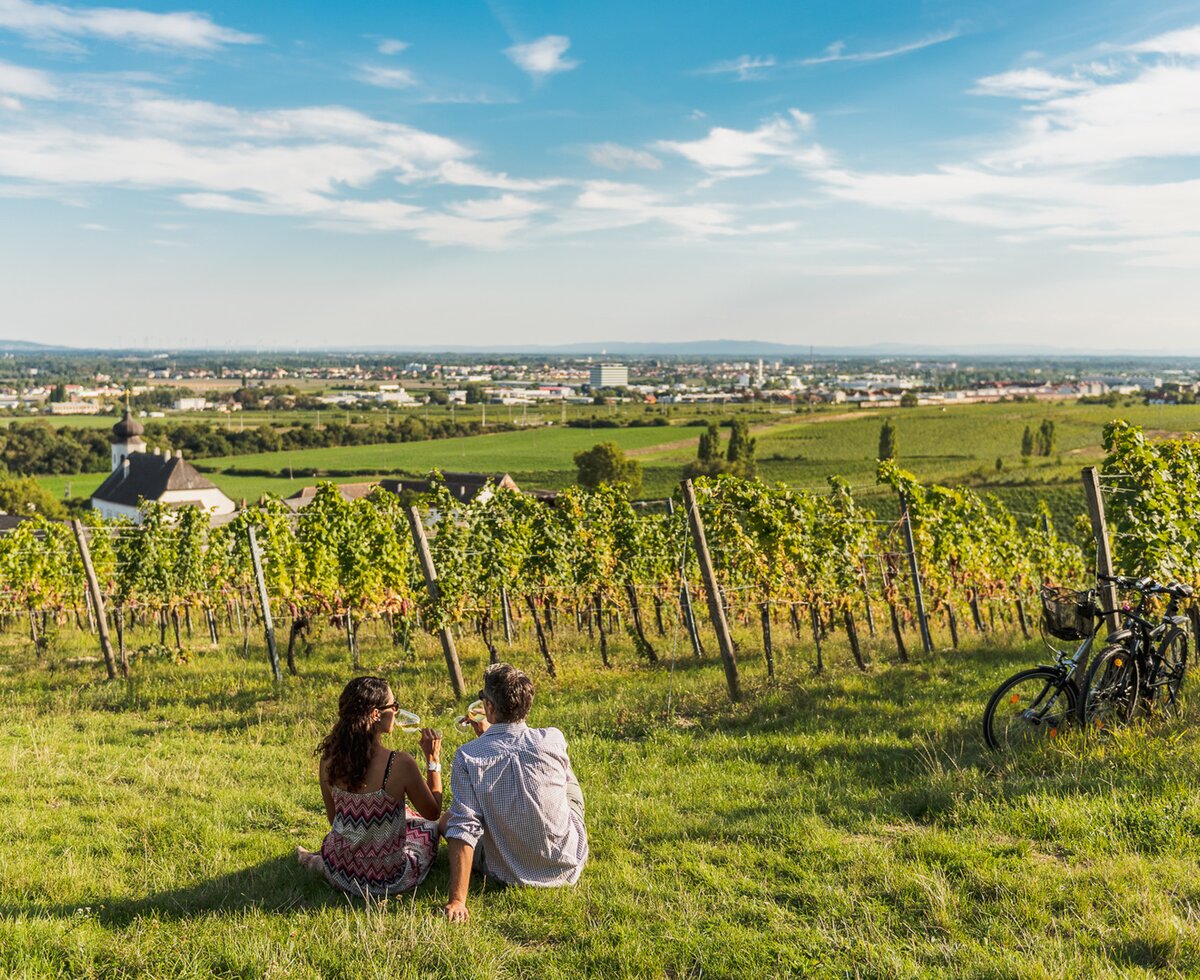 Couple with wine glass in the vineyard | © Wienerwald Tourismus / Christian Dusek Couple sitting with glass of wine in the vineyard in the Vienna Woods | © Wienerwald Tourismus / Christian Dusek