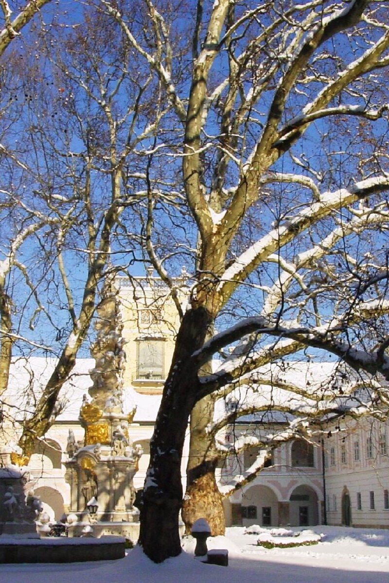winterlicher Innenhof Stift Heiligenkreuz im Wienerwald | © Wienerwald Tourismus / Martina Konrad Murphy