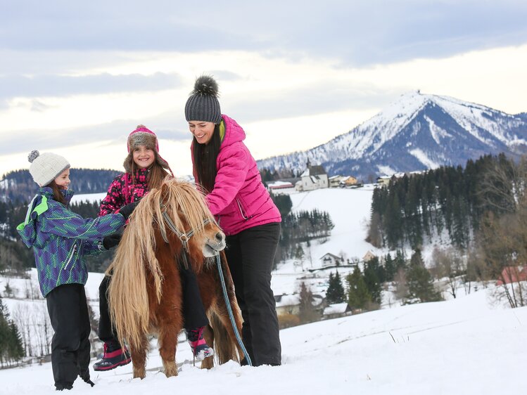Children with a pony in the winter | © Niederösterreich Werbung / schwarz-koenig.at