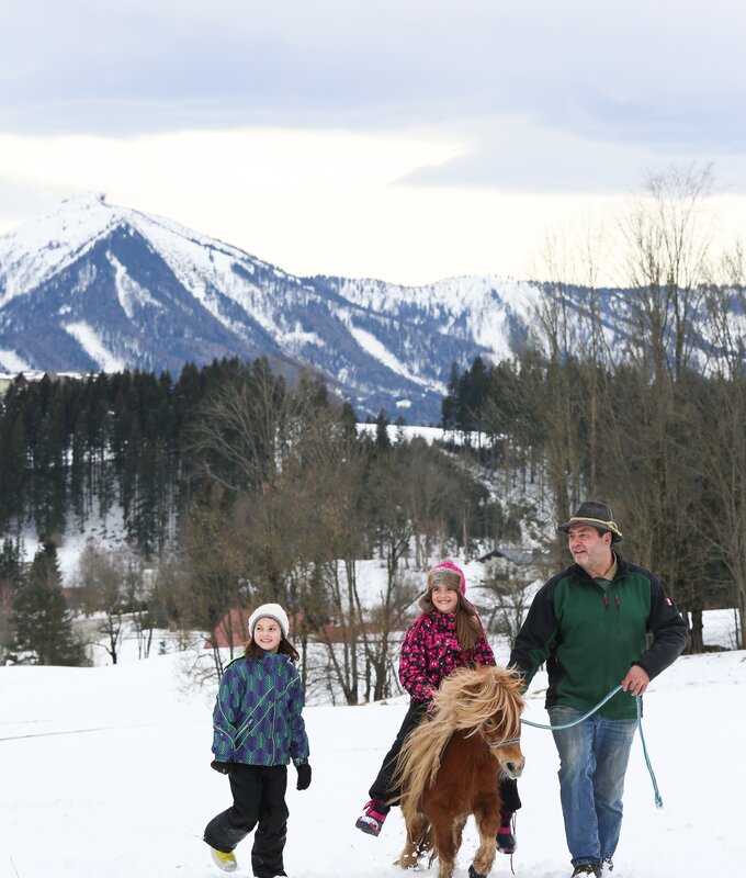 Kinder reiten auf Pony im Schnee | © Niederösterreich Werbung / schwarz-koenig.at