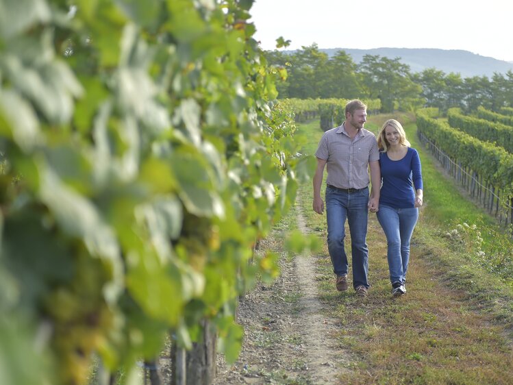 Walk in the vineyard | © Urlaub am Winzerhof / Ralph Fischbacher