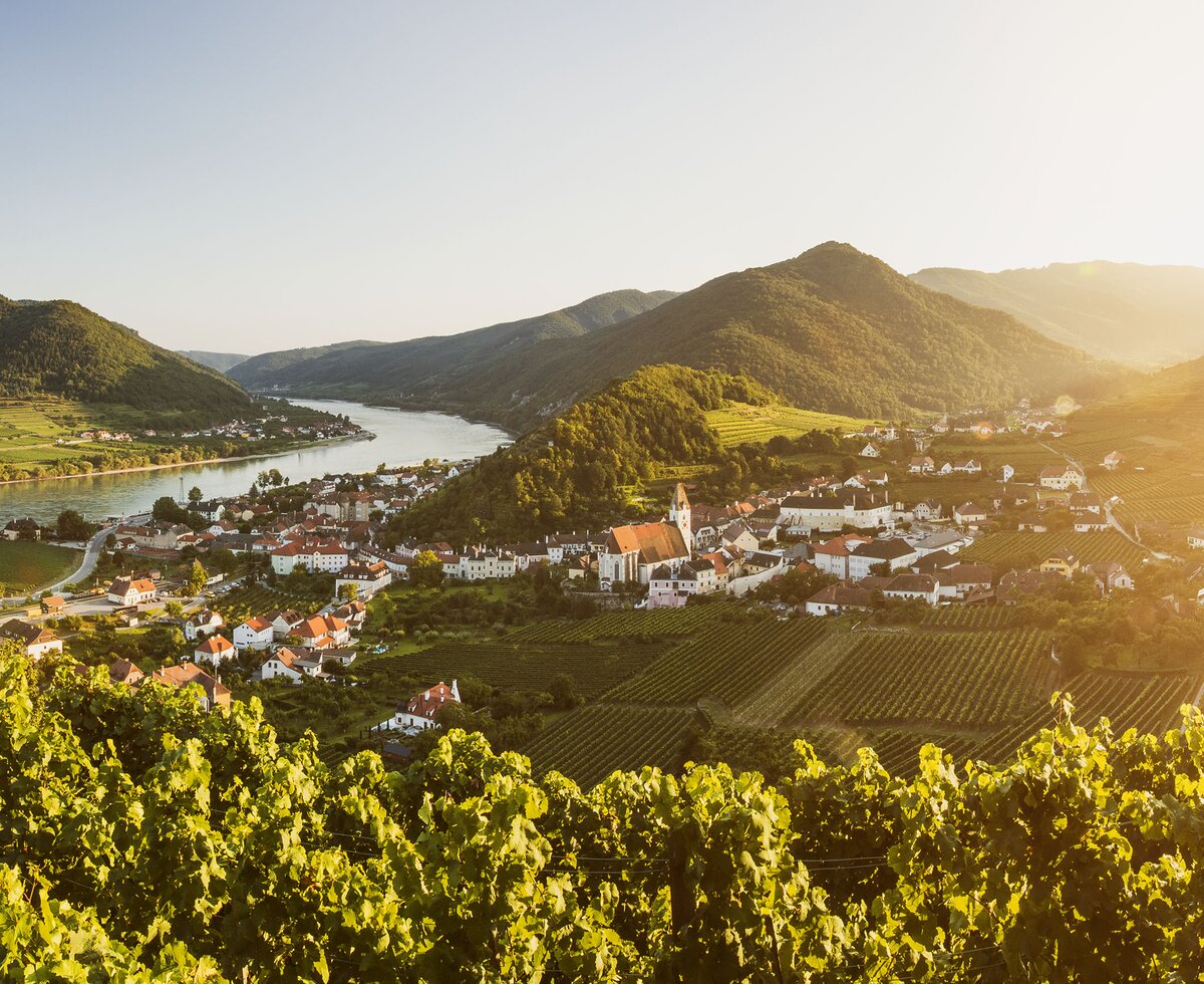Spitz an der Donau in der Wachau | © Niederösterreich Werbung / Michael Liebert Spitz an der Donau in der Wachau | © Niederösterreich Werbung / Michael Liebert