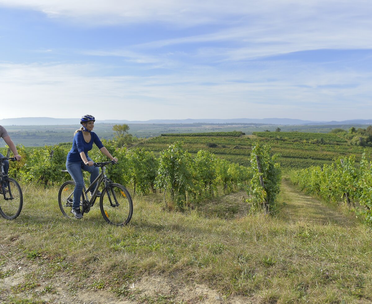 Cycling in the vineyard | © Urlaub am Winzerhof / Ralph Fischbacher Couple rides a bike in the vineyard | © Urlaub am Winzerhof / Ralph Fischbacher