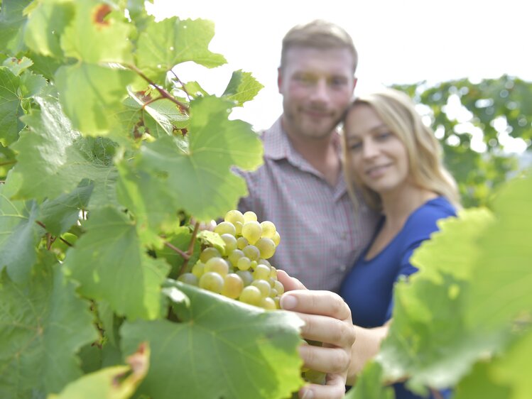 Touch grapes | © Urlaub am Winzerhof / Ralph Fischbacher