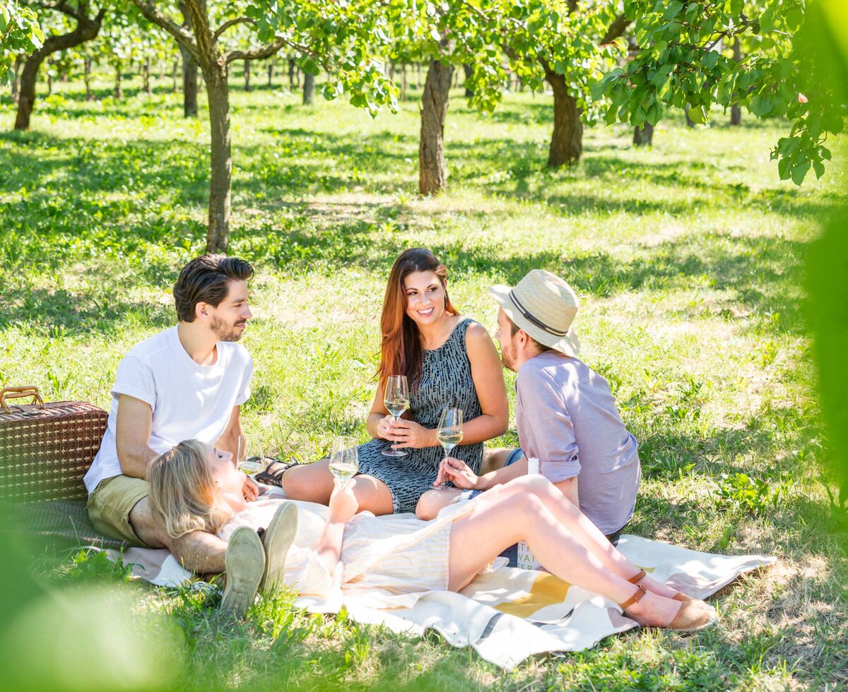 Picknick im Weingarten | © Elisabeth Cichon