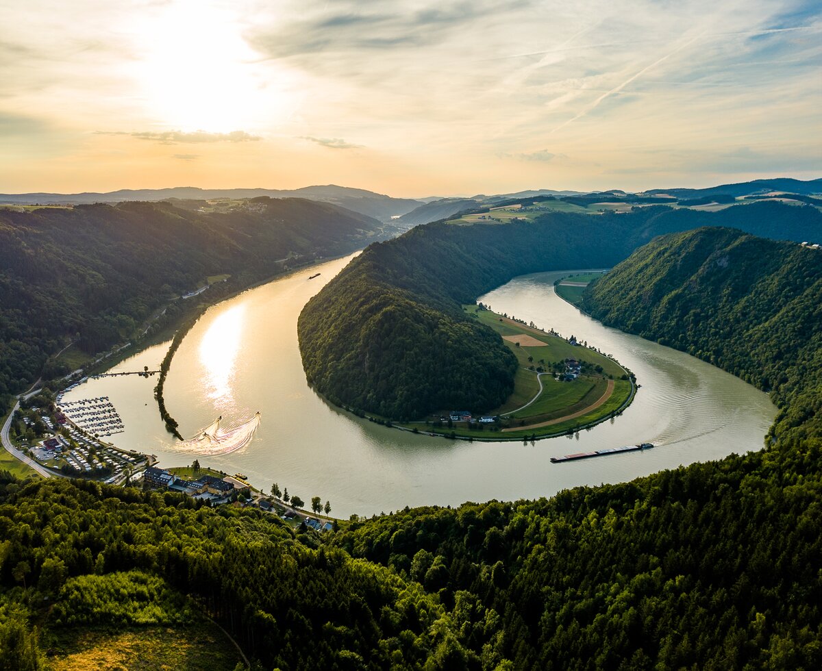 Schlögener Schlinge - Donau in Oberösterreich | © WGD Donau Oberösterreich Tourismus GmbH / Kaindlstorfer Blick auf die Schlögener Schlinge der Donau in Oberösterreich | © WGD Donau Oberösterreich Tourismus GmbH / Kaindlstorfer