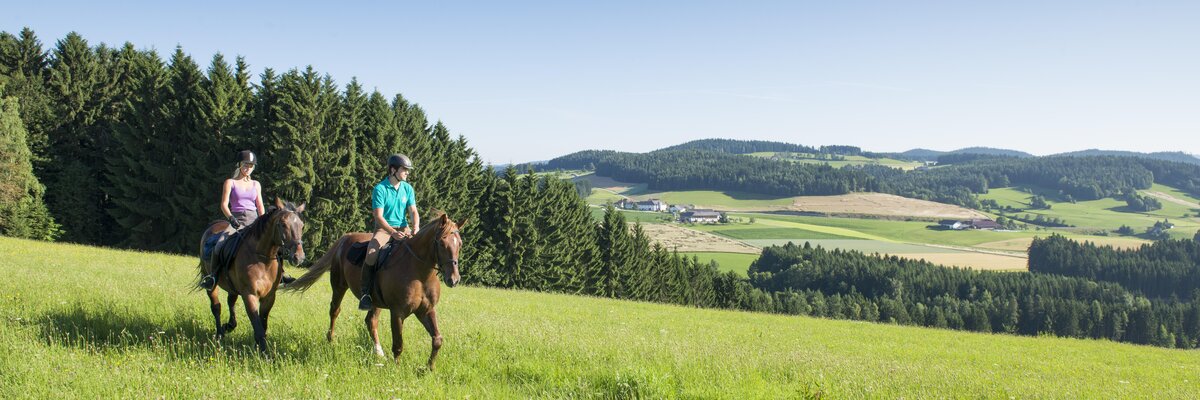 Zwei Frauen reiten in der Region Pferdereich Mühlviertler Alm | © Oberösterreich Tourismus GmbH / Hermann Erber