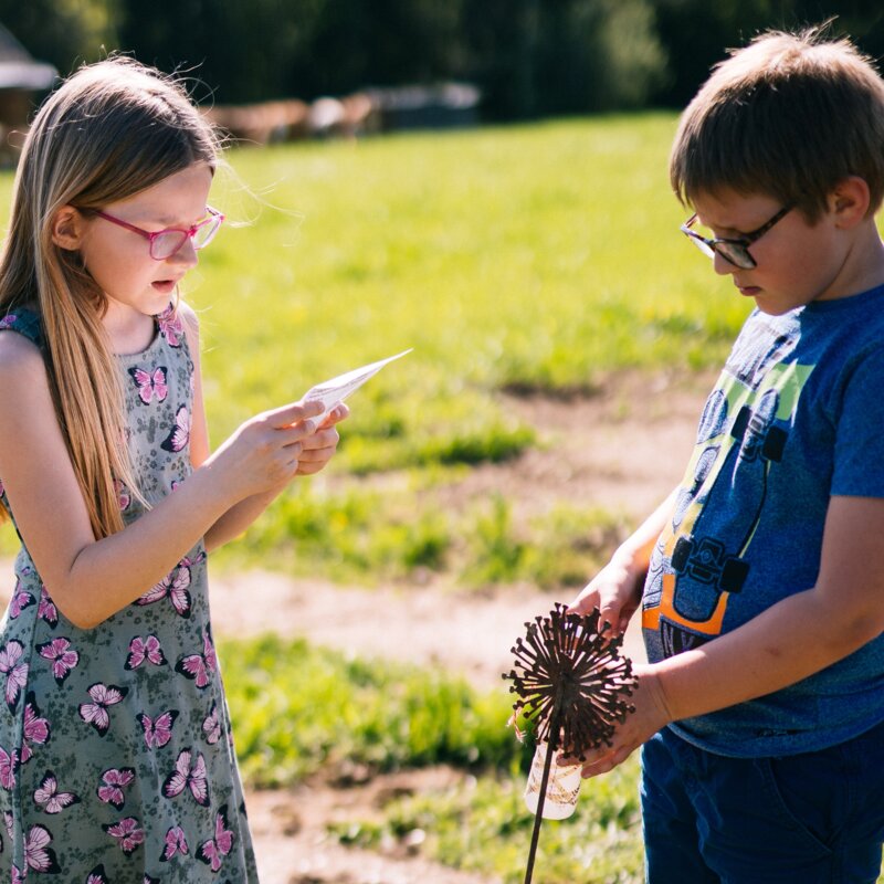 Kinder spielen draußen in der Natur | © Urlaub am Bauernhof Oberösterreich / Daniel Gollner