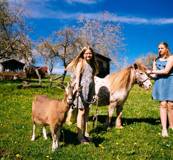 Zwei Mädchen gehen mit Pony und Ziege in der Wiese spazieren | © Urlaub am Bauernhof Oberösterreich / Daniel Gollner