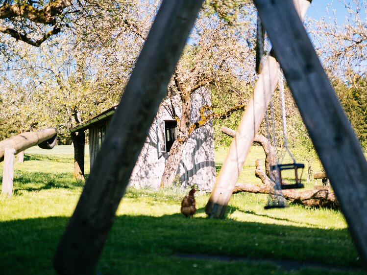 Huhn inmitten des Spielplatzes am Bauernhof | © Urlaub am Bauernhof Oberösterreich / Daniel Gollner
