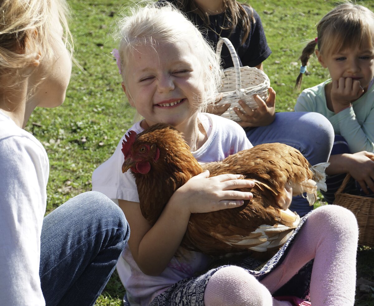 Streicheleinheiten für das Huhn | © Urlaub am Bauernhof Oberösterreich / Harald Puchegger Kind hält ein Huhn auf dem Arm und streichelt es | © Urlaub am Bauernhof Oberösterreich / Harald Puchegger
