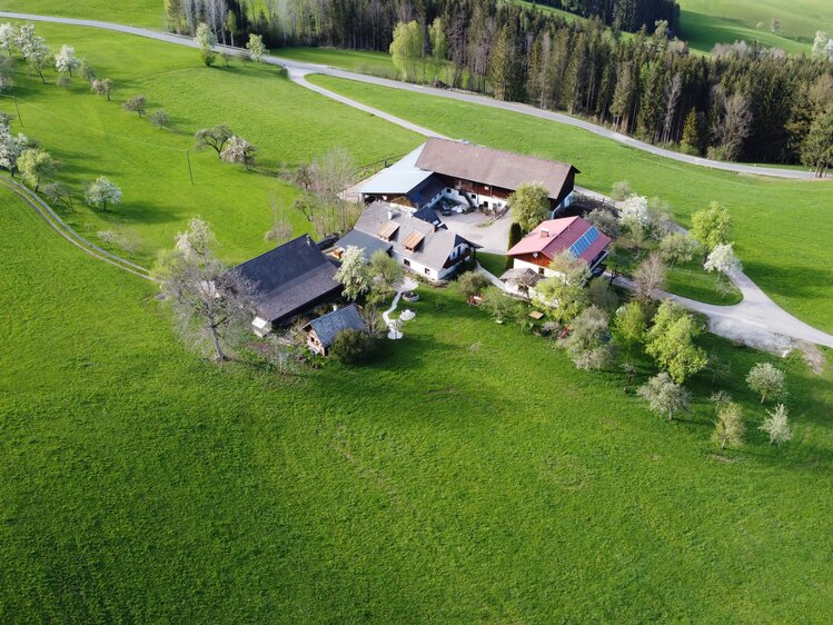 Hofansicht Ferienhof Breitenbaumer "Zick am Berg" in Spital am Phyrn, Nationalpark Region Kalkalpen | © Urlaub am Bauernhof Oberösterreich / Tamara Breitenbaumer